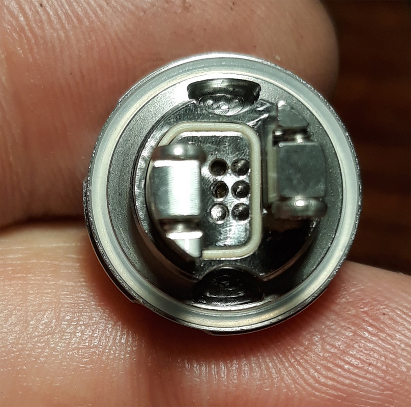 [Slika: Arctic-Dolphin-ELUX.jpg]