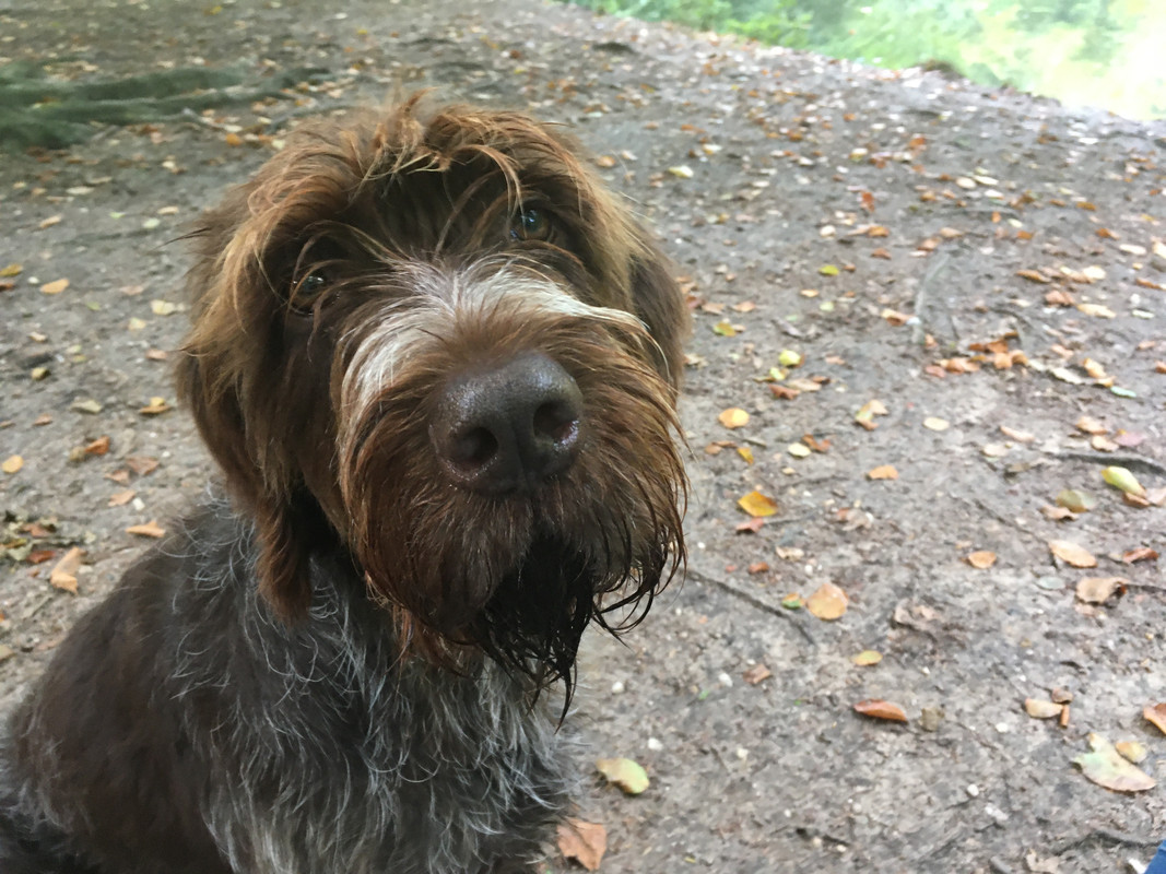 2023-14-08 Claire kop front IMG_2561 (003)