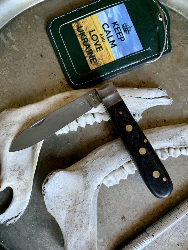 FD6826DA-397F-4953-A6DE-4F4D18483221