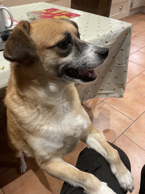 E0820525-4-A01-4-D72-9-BF5-B9659-A68-BDD