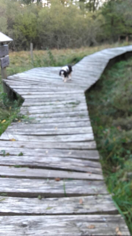 EC10E055-4DCC-4384-AB19-3BF95164E563