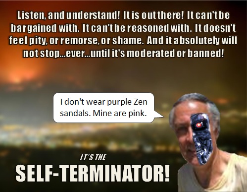 Battle Of The Brains Self-Term-Pink-Zen-Sandals