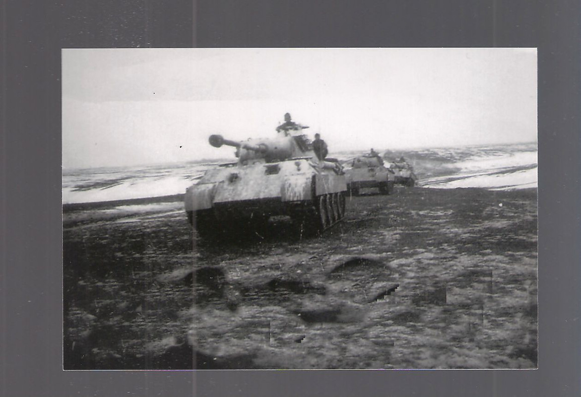Panzer Panther in Rußland-Wintertarn (3)
