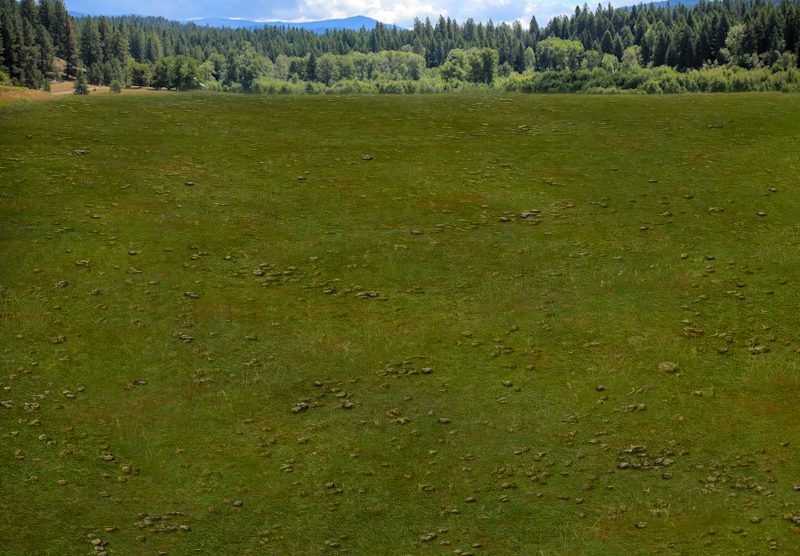 Image: CMBKGRMT4359.png