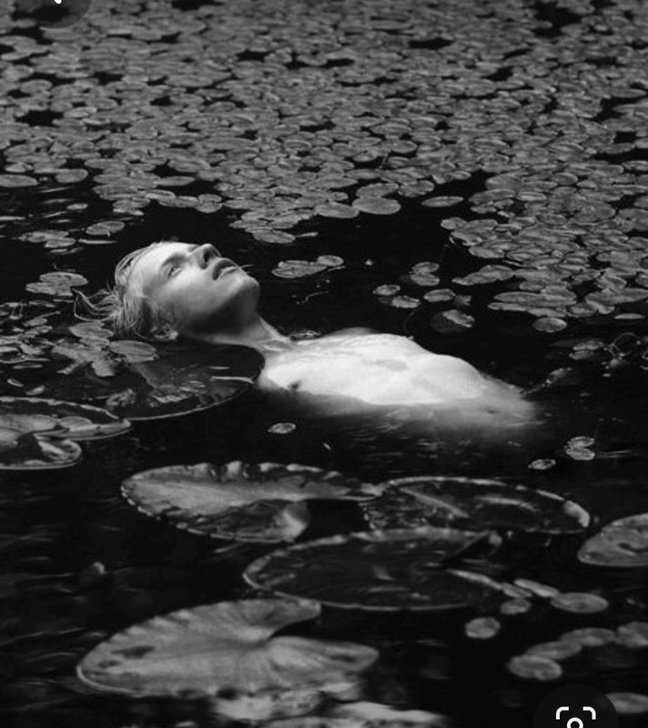 Screenshot_20240117_232841_Pinterest