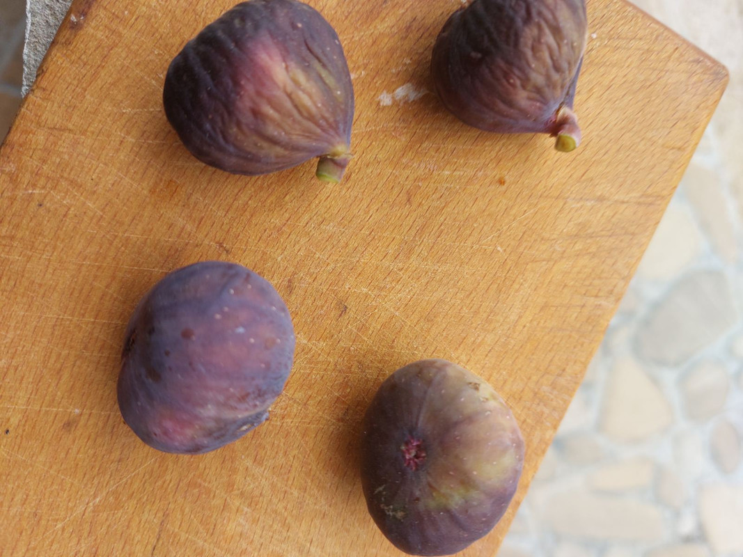 0-02-05-71b4981e8334032afadb00abf3e8199c4f1e13473e530ce3352a20216f8868c9_6aa7198cb02e6e6c