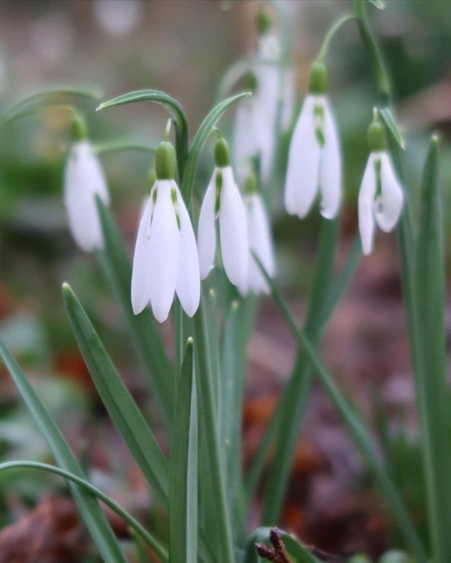 IMG 20260410 082827 985