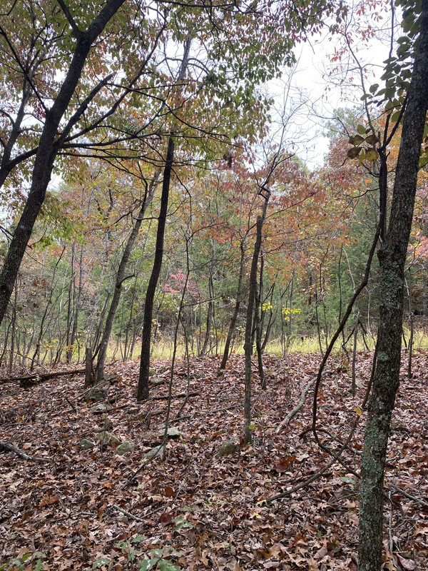 🌟 Seize Your Slice of Serenity near Turkey Mountain Golf Course - 0.7 Acres of Pure Potential Await in Izard County, Arkansas! 🌳🏞️