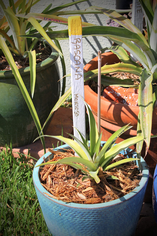 058FFA6D-957D-47AD-811F-4B46BA41567C_1_201_a