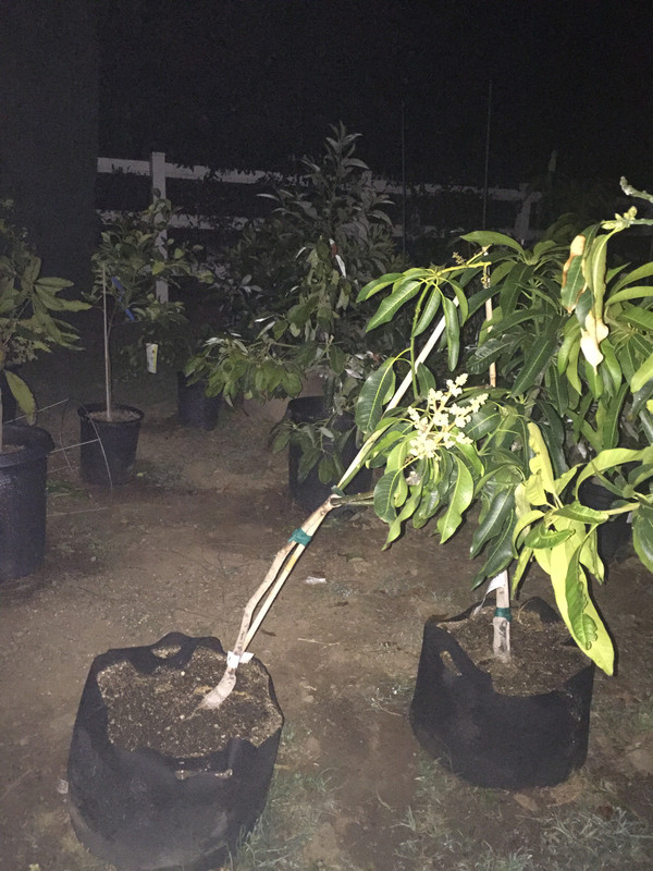 79FA5EEA-ADF3-4715-B246-BE9DA9000912