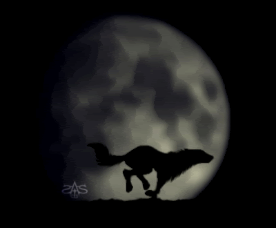 A606E48D-F415-4019-8AB3-44965F9C5A5E.gif