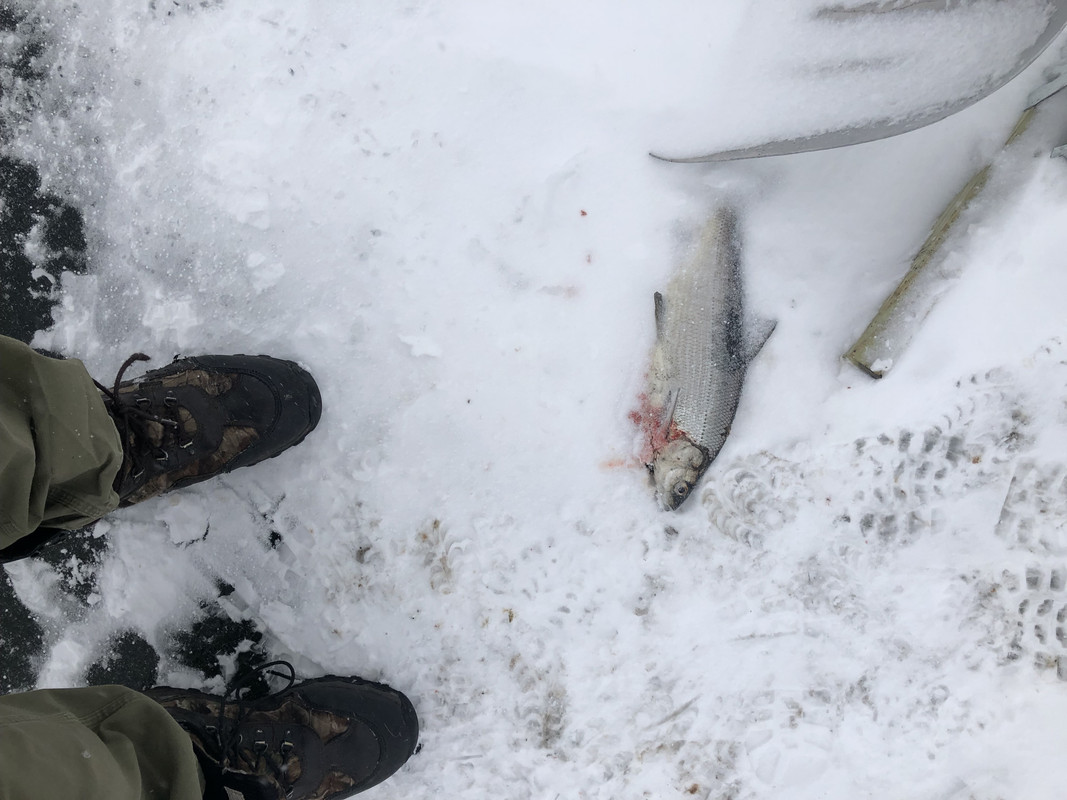 74833F00-DA3B-4FA6-84C3-6FA9DA6D55EF