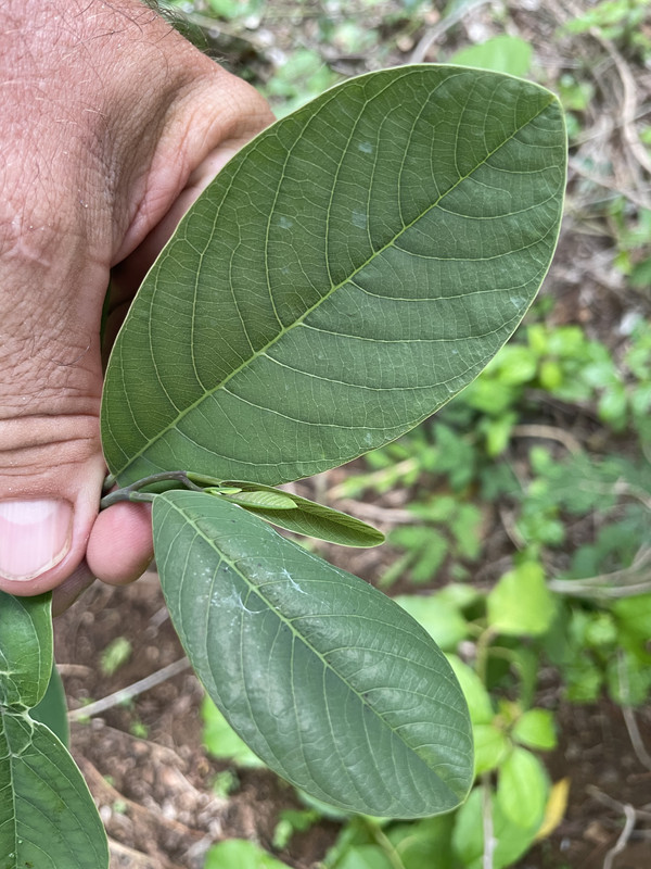 68E4F7CD-402D-4C70-88D8-6C5864ADDB85