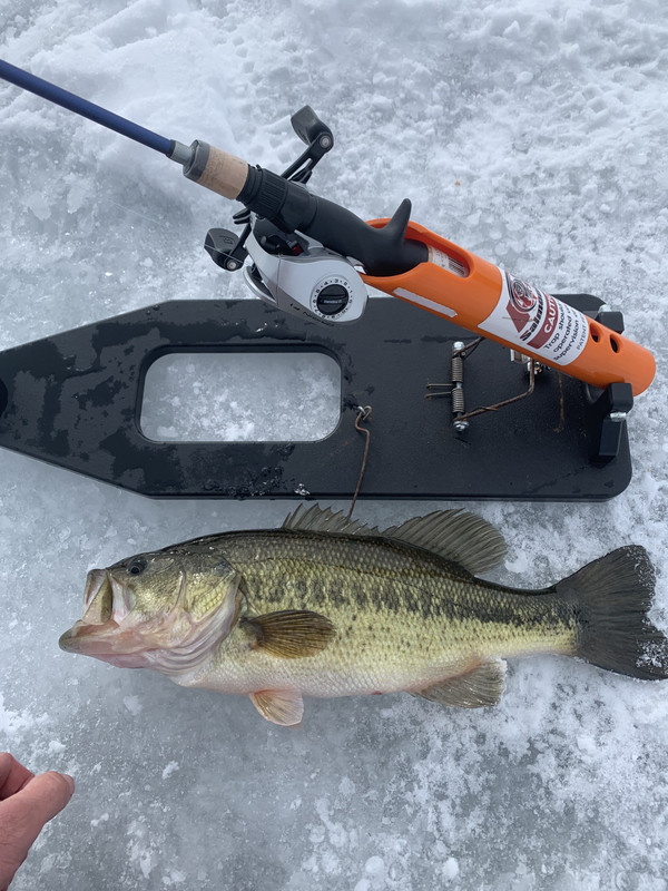 6399DA08-9BD7-40BB-B08C-081F148EBEC8