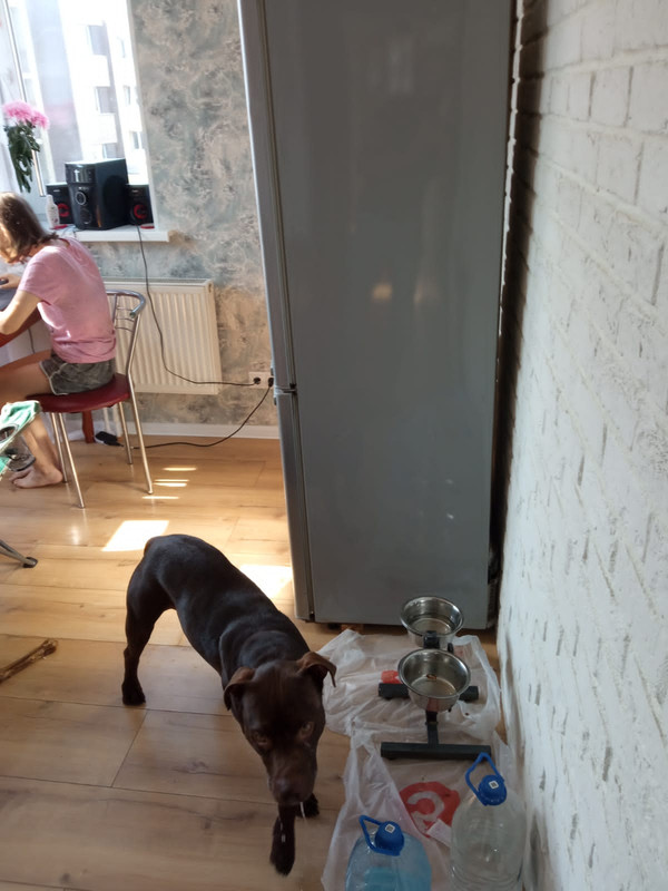 8CDFDFBA-40EF-455A-A56B-354D80712A2D