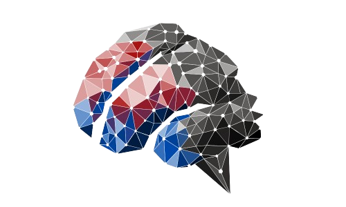 Logo Shift Learning (cerveau)