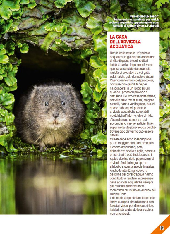 Foc Wil - Feb 2024 (4)