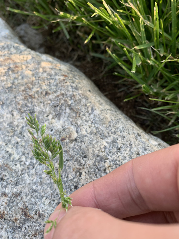 00B38731-5D73-476F-A474-9541966F26EC