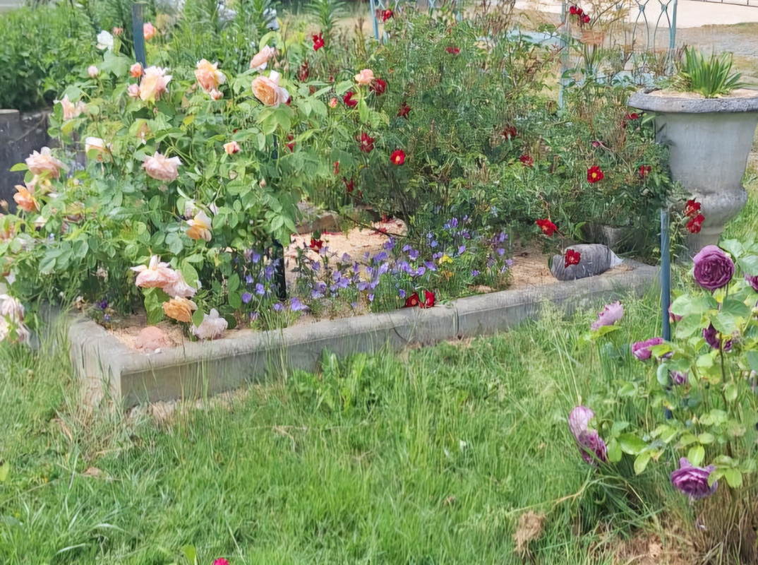 [Image: IMG-20250523-072957.jpg]