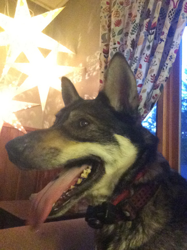 E2248BCF-78CB-49A4-8C6F-3ED02C64F3C8