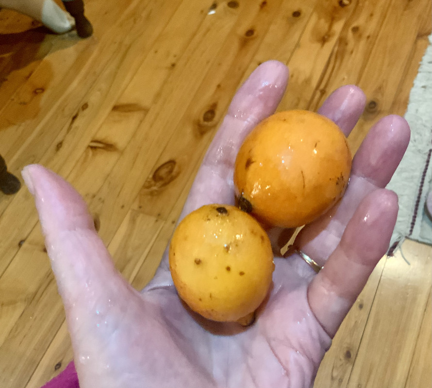 5A3CB937-F855-4F82-A162-842472EC6CD7