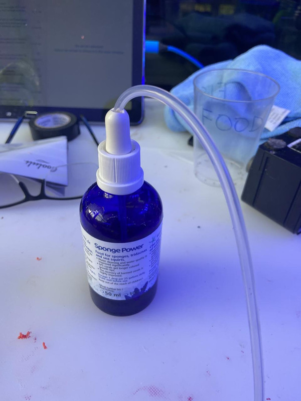 1AF667A5-64A2-4A78-A161-2F0E015A0BA5