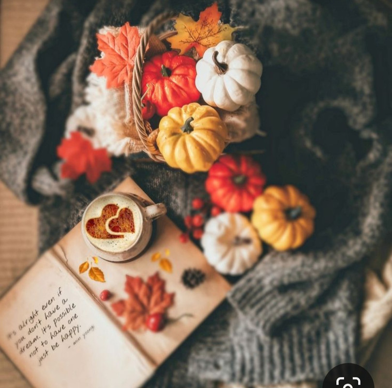 Screenshot_20231031_162852_Pinterest