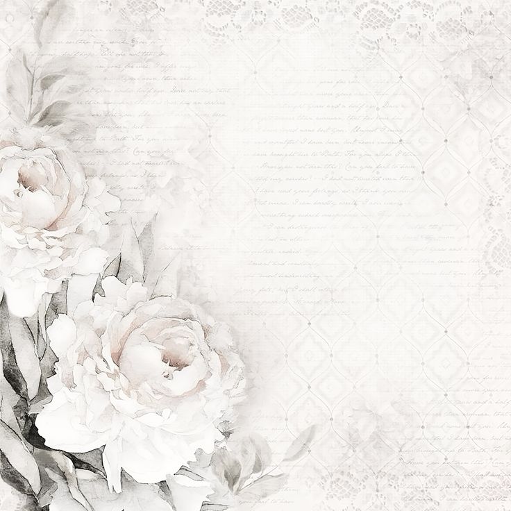 white 18