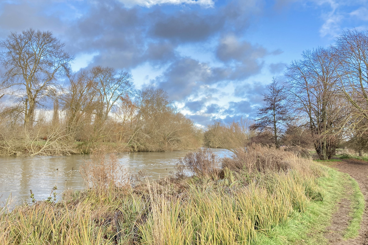 E0C8FDF0-298D-47BB-9972-65A8108472C1