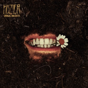 Re: Hozier