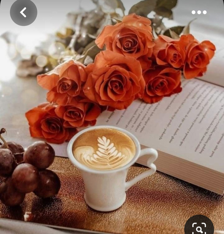 Screenshot_20230712_005029_Pinterest