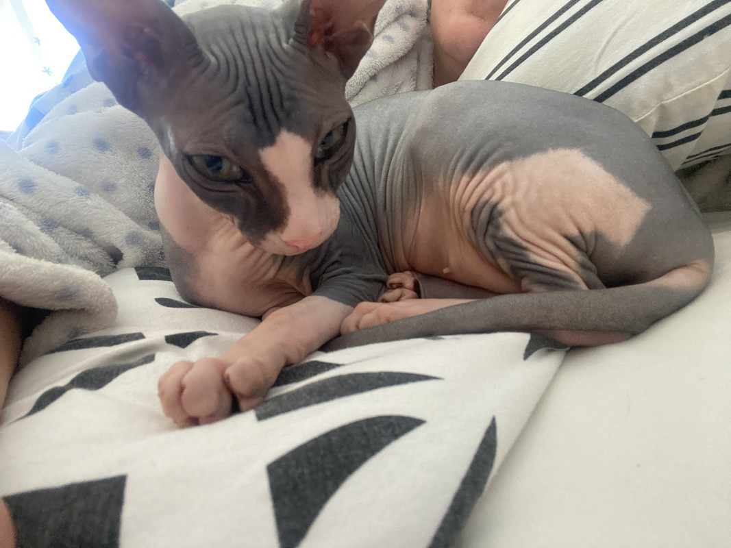 24C53581-7270-43A9-9180-2EEA687CCDDA