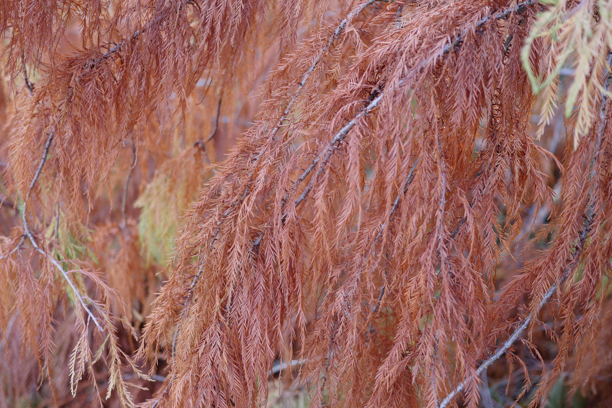 61BE392D-7467-4225-8250-94EA964C8F4A