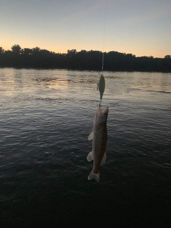 B33955FE-5C66-47FA-9A9C-1C54C7EAC576