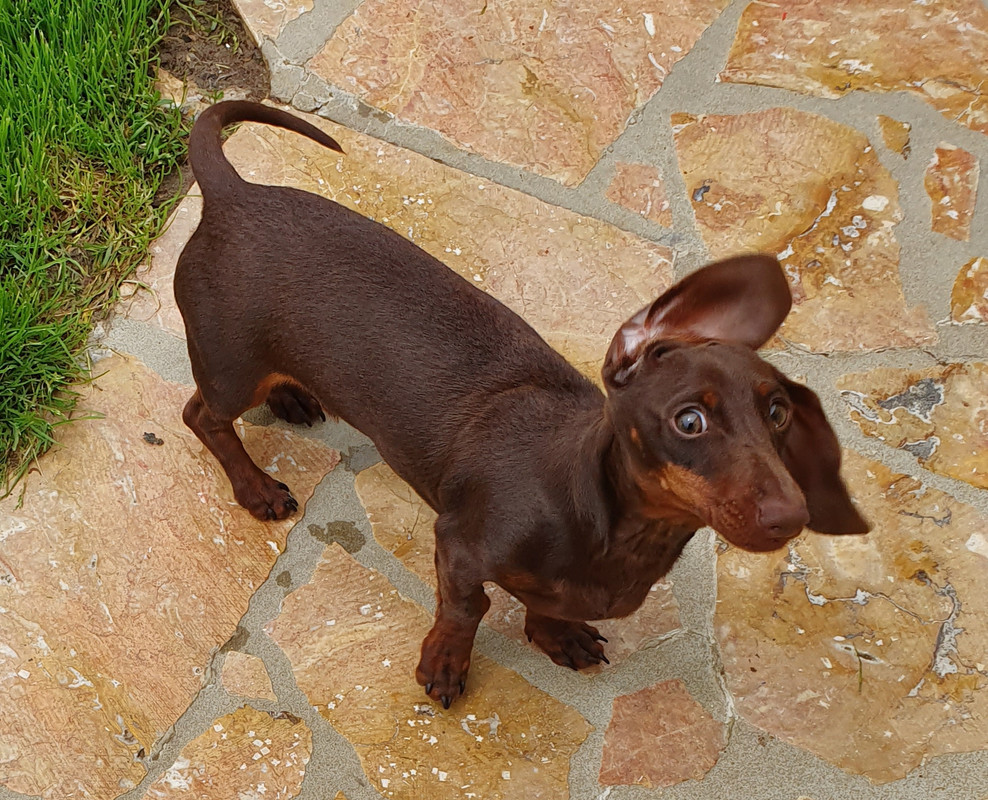 [Image: 20210518-130142.jpg]