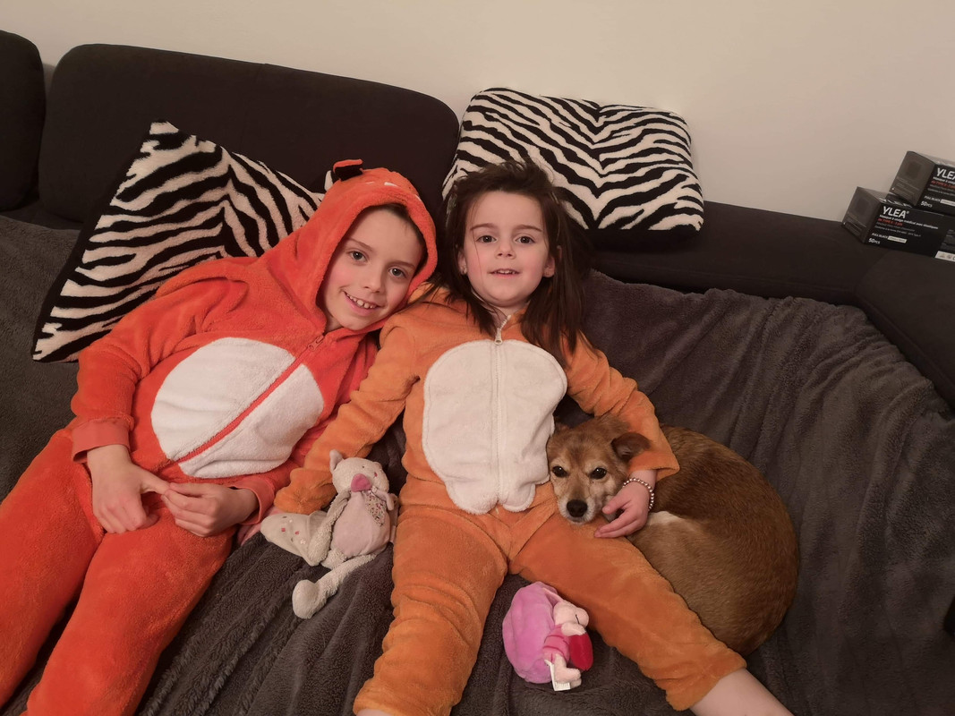 [Image: 440-C2494-C128-409-C-A46-B-9-AF1-D89-E1-ECF.jpg]