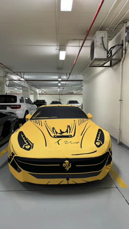 Ferrari F12 Indoor Artistic Cover