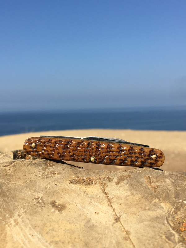 FA72C562-2E50-45E7-87DE-D05AF00BBFE3