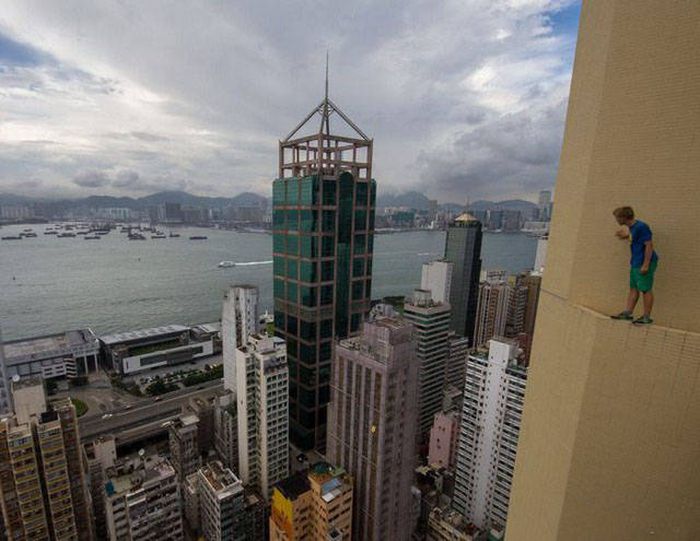 Типичные претенденты на Премию Дарвина