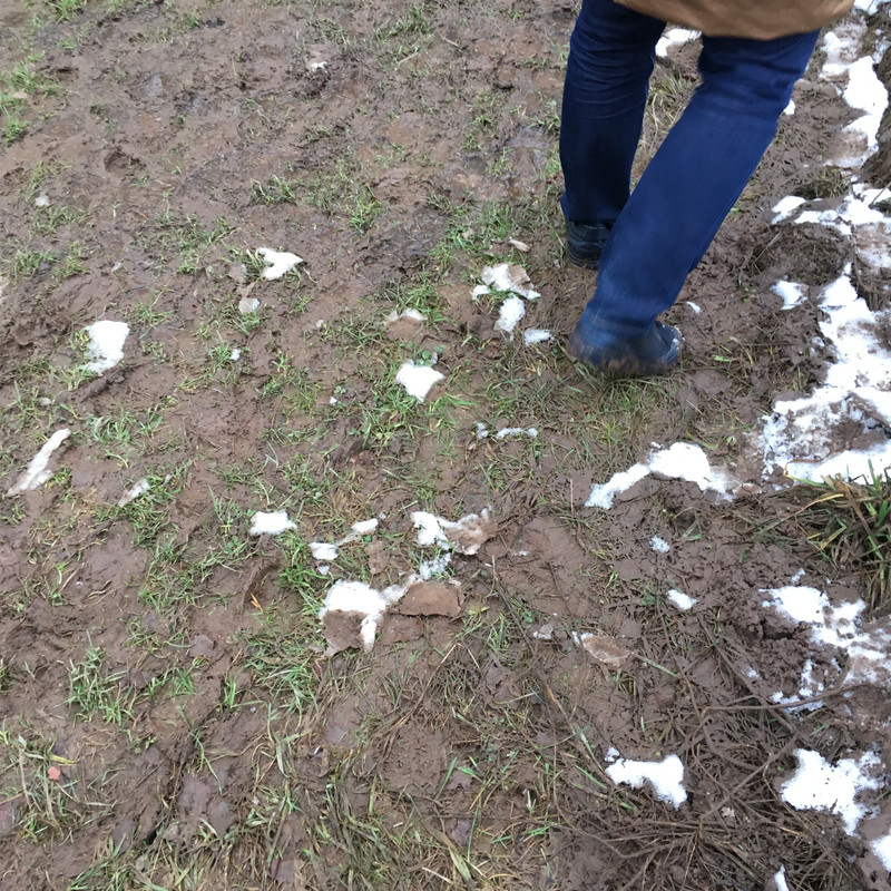 6BE6F550-0EC1-4794-B991-561F5A5CE93B