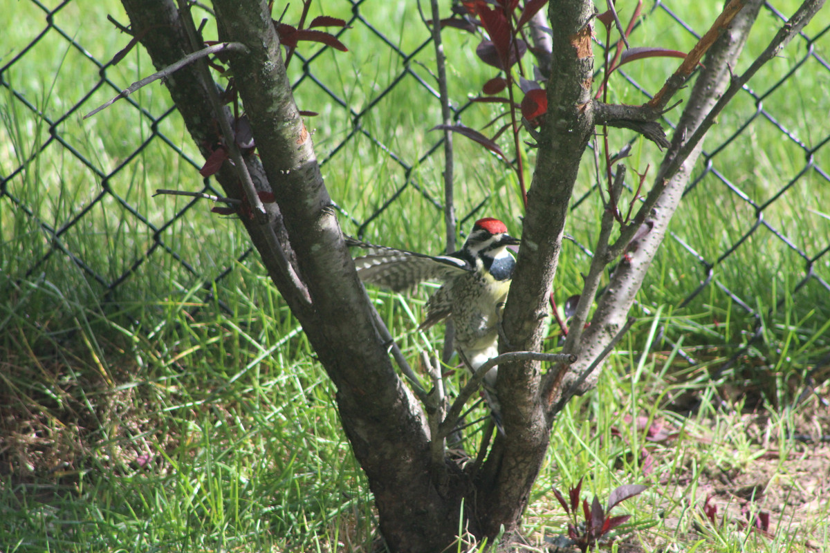 20210528161541_IMG_0904