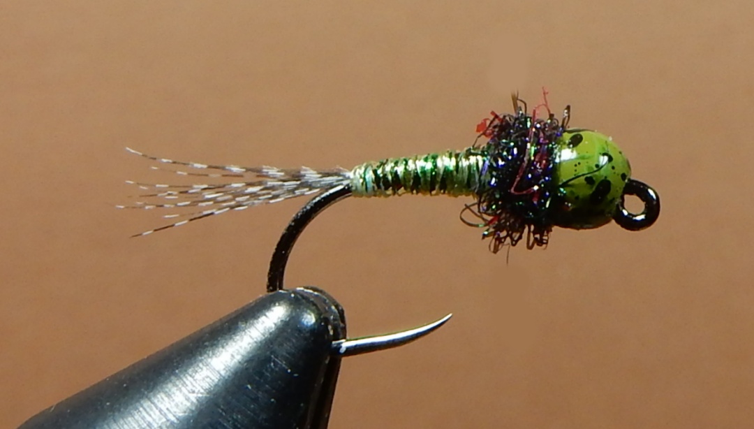 Olive-1080.jpg