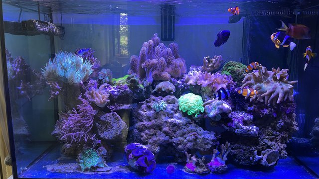 DF8E3051-C63B-4AD9-898F-18200B99D359