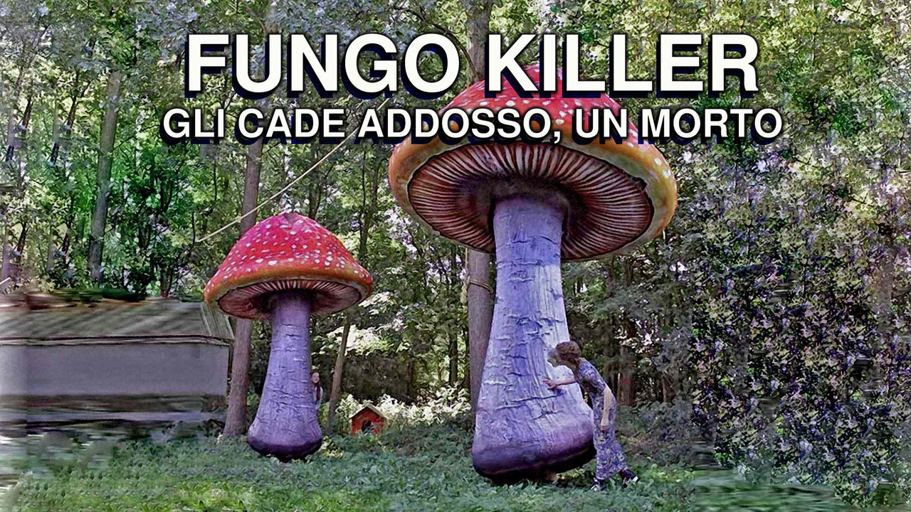 resized-FUNGO-KILLER