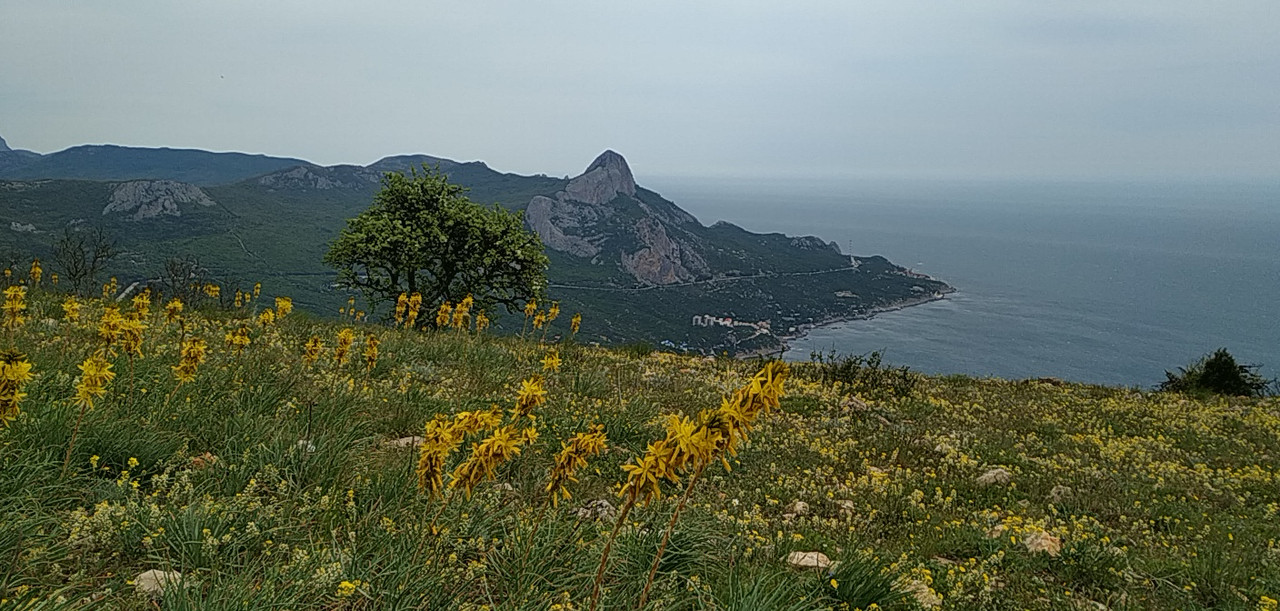 PANO_20190505_114308