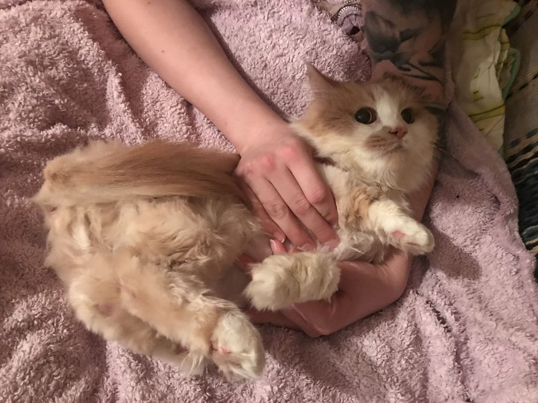 3BA2F4AF-EDA0-4C43-B80D-D90BFBC67ED9