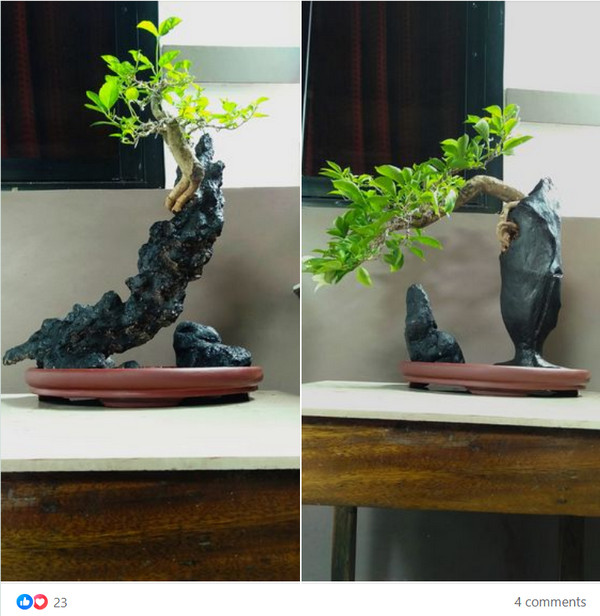 [Image: 2024-07-06-085629.jpg]