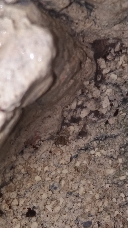 Screenshot_20170808-145002