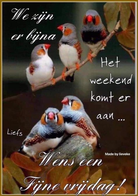 33150d48e91ea3f7f8abc854608ccf65