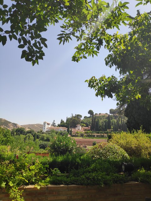 Martes 07/07. Visita a la Alhambra. - Córdoba y Granada en un verano atípico. (11)